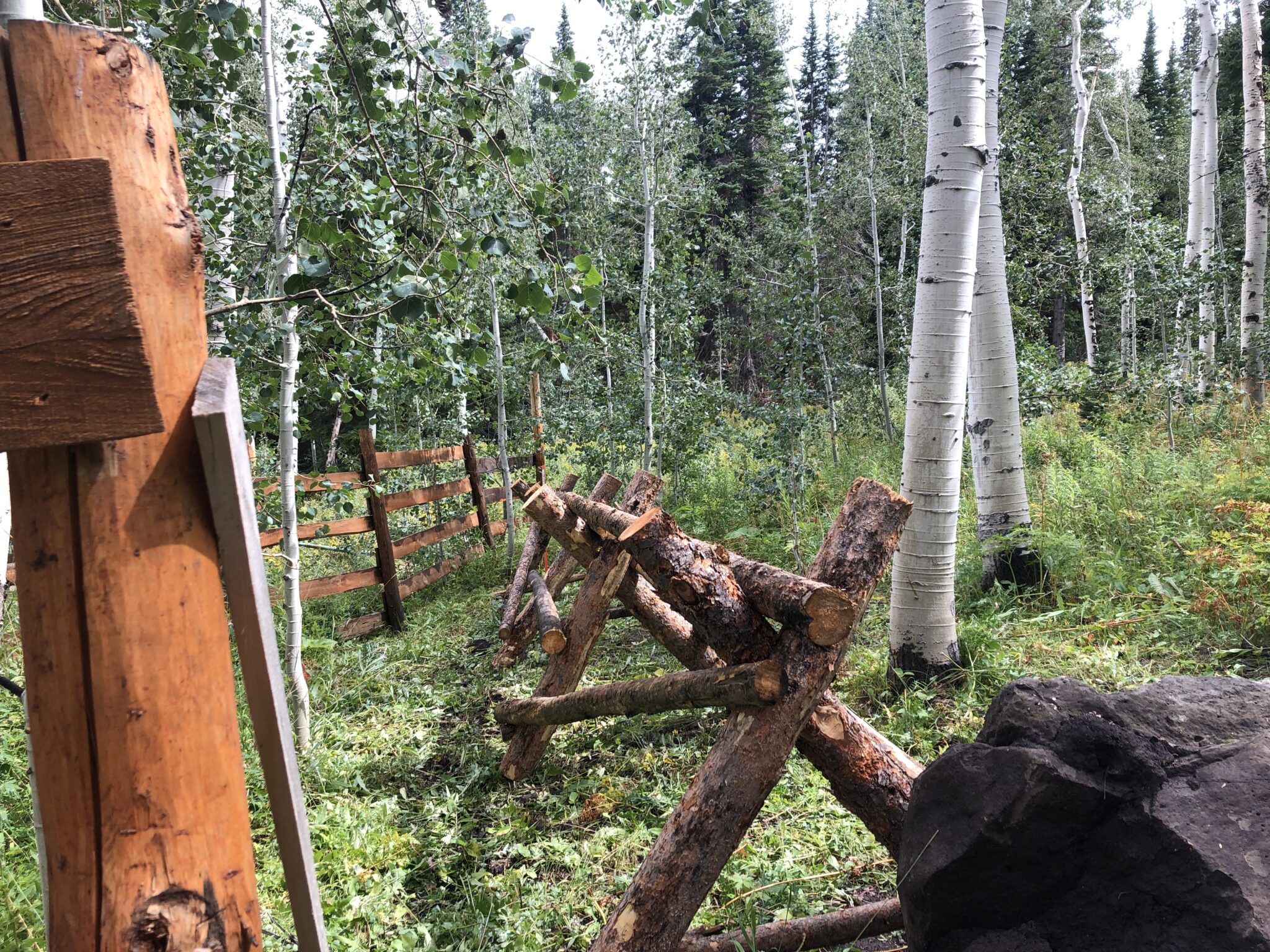 The Colorado Wilderness Ranch