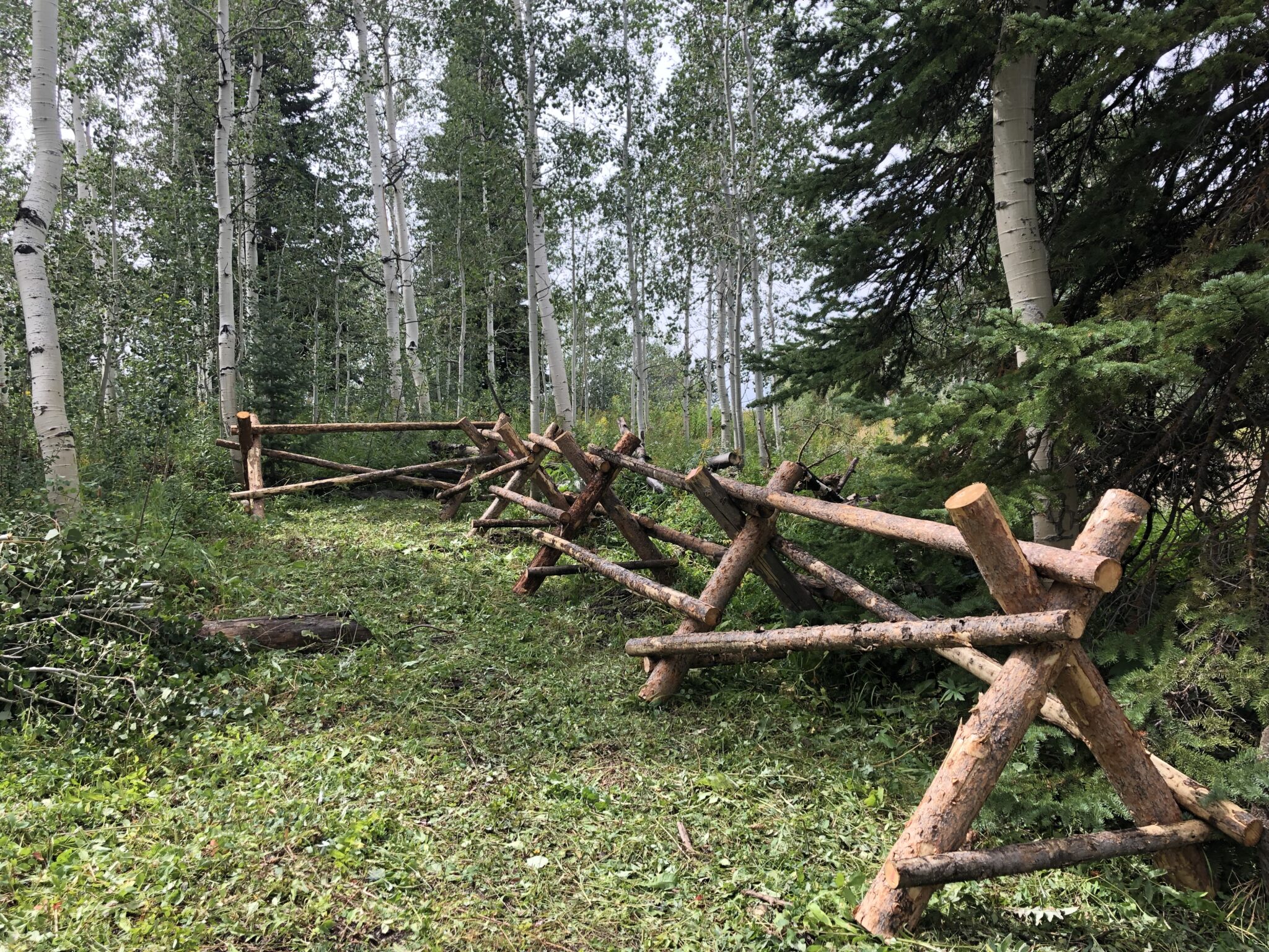 The Colorado Wilderness Ranch