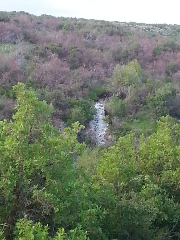Meeting Minutes The Colorado Wilderness Ranch